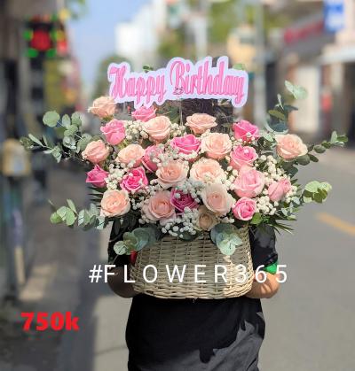 Giỏ Mây Hồng 2 Màu Pastel 25B