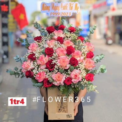 Giỏ Hồng 2 Màu Đỏ, Hỷ Lật Cánh 30B Sang Trọng