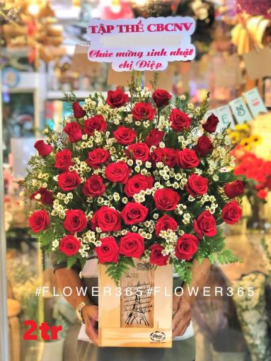 Giỏ 37B Hồng Đỏ Thanh Liễu Trắng Rực Rõ