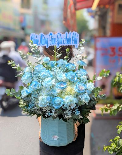 Hoa Xanh Màu Trời